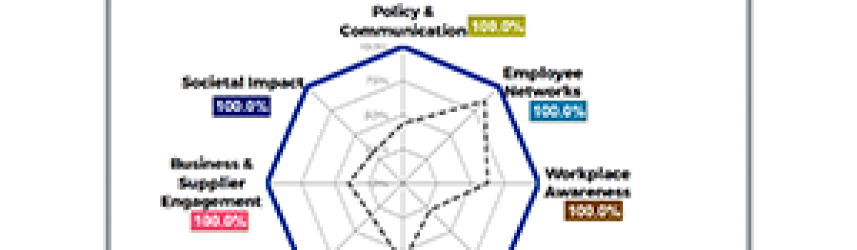 This is what GOOD looks like for LGBTIQ+ workplace inclusion!