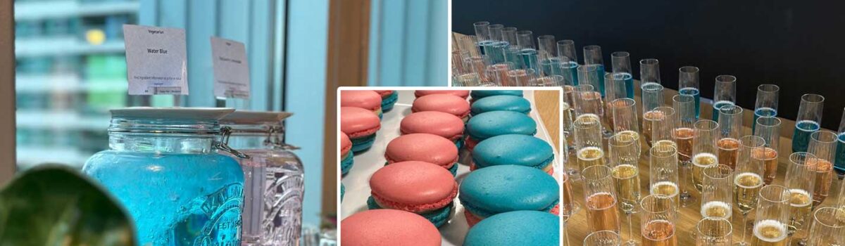 Exploring the Human Side of AI During Transgender Awareness Week